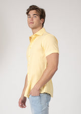 Button Up Short Sleeve Soft Stripe Pattern